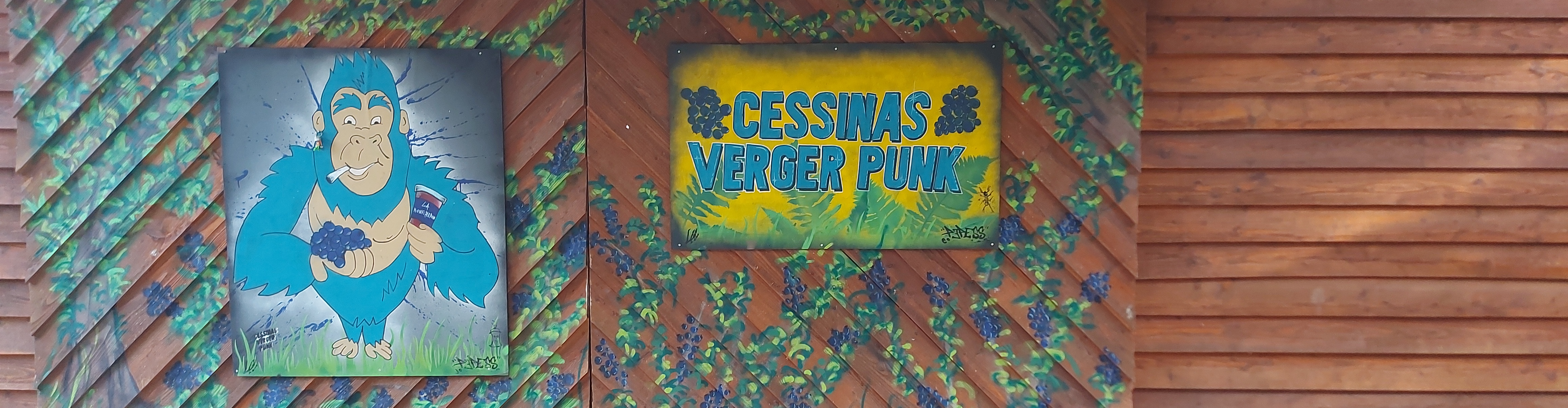 Cesssinas Verger Punk