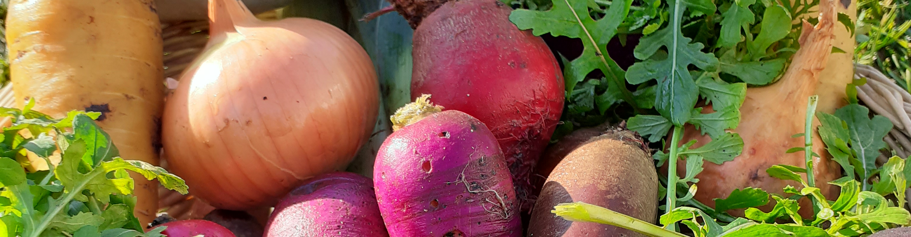 La Ferme Saint-Lazare