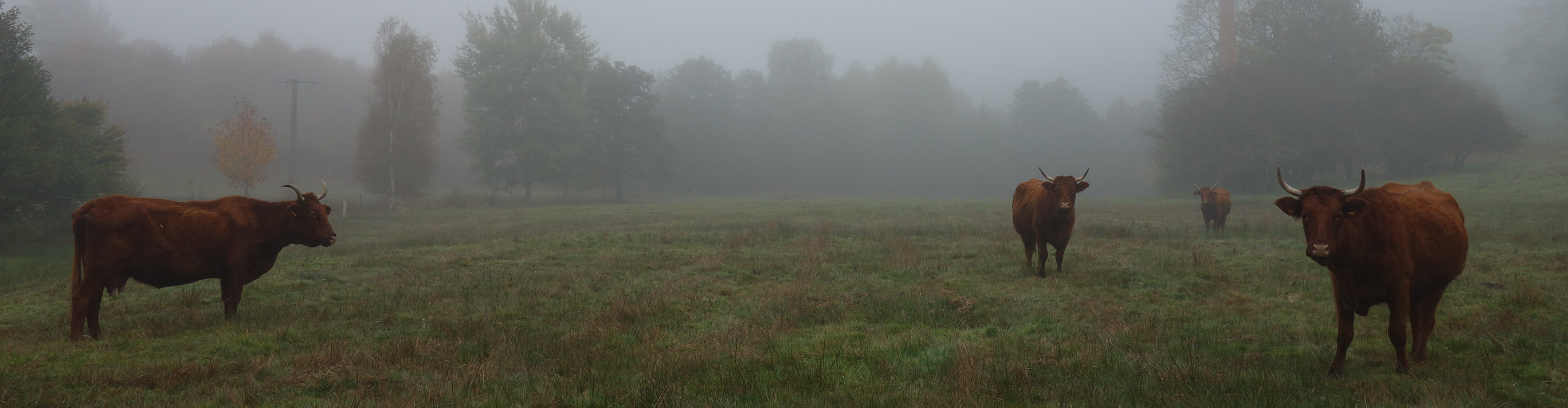 Ferme de la Gilbernie