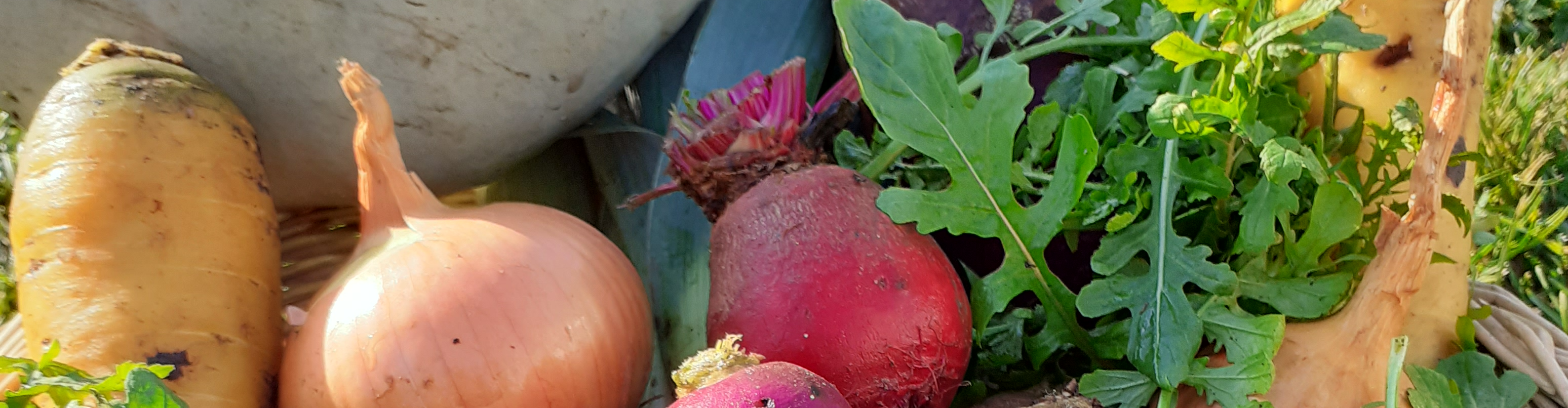 La Ferme Saint-Lazare