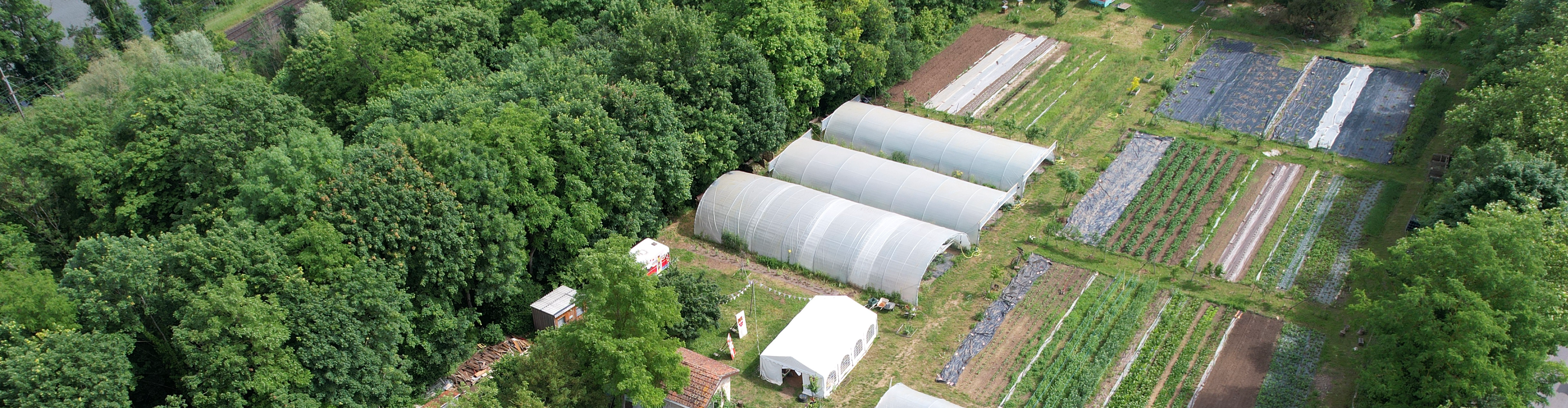 L'Arbre de Vie, micro-ferme créative