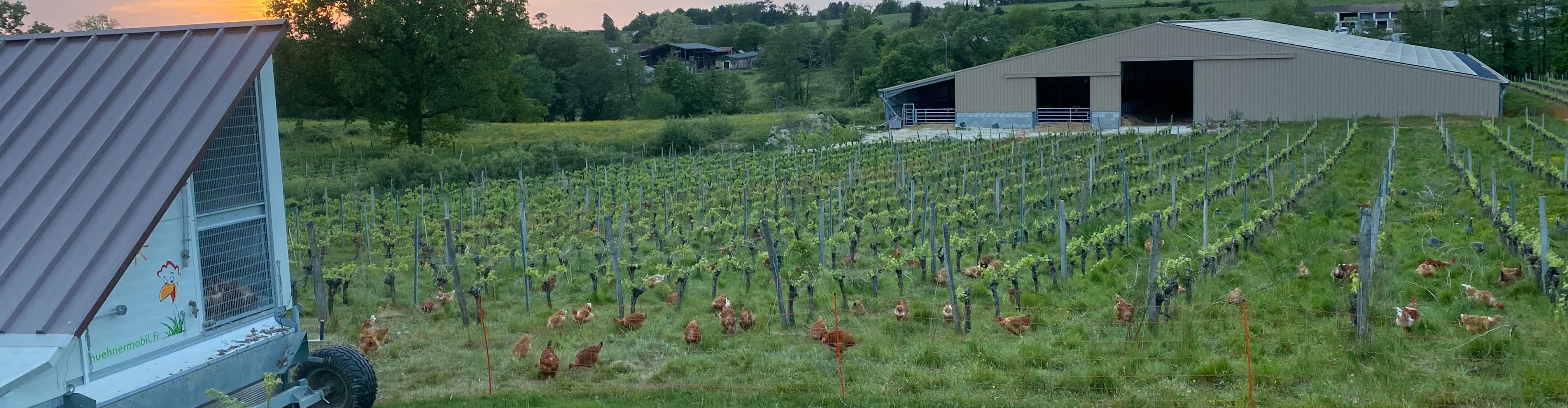 La Ferme d'Angélique et Arnaud