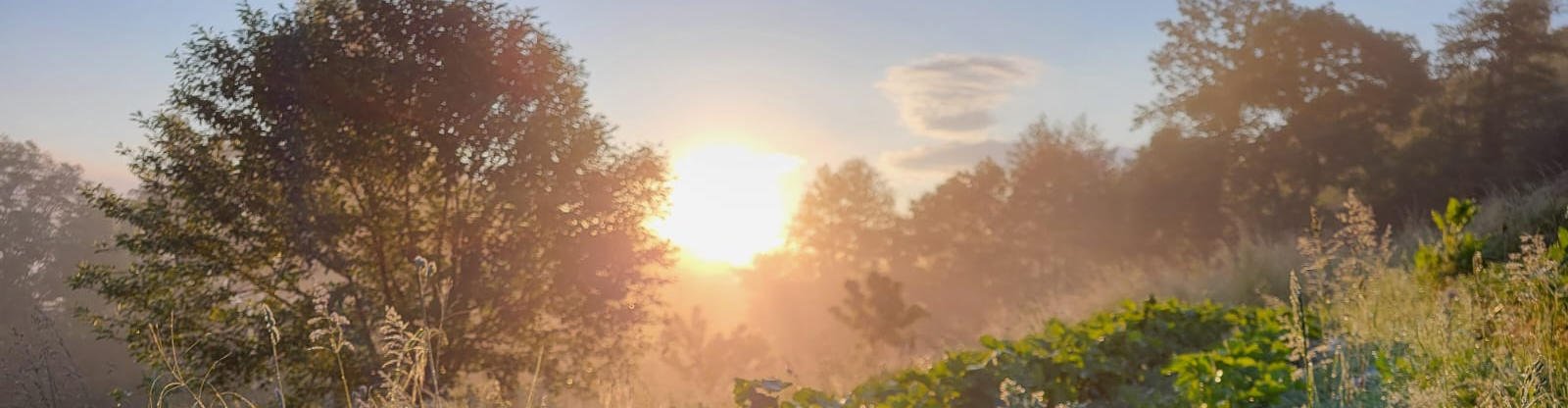 La ferme de Jurens